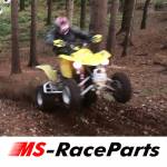 LTR 450