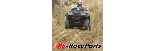 LTA 750 King Quad