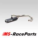 Trinity Racing Sportauspuff Black Polaris RZR/S 800 08-14...