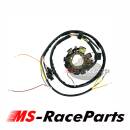 Lichtmaschine Polaris Sportsman Scrambler Ranger RZR ACE...