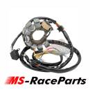 Lichtmaschine Polaris Sportsman Scrambler Ranger RZR ACE...