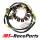 Lichtmaschine Polaris Sportsman Scrambler Ranger RZR ACE Outlaw Stator Lima Scrambler 500 L00-E02