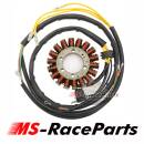 Lichtmaschine Polaris Sportsman Scrambler Ranger RZR ACE...
