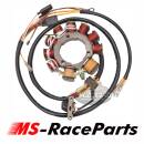 Lichtmaschine Polaris Sportsman Scrambler Ranger RZR ACE...