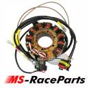 Lichtmaschine Polaris Sportsman Scrambler Ranger RZR ACE...