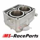 Zylinder Polaris Ranger 700 Bj. 2005-09 Cylinder Nikasil...