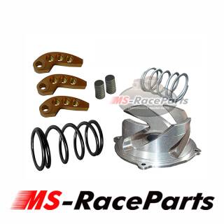 Clutch Kit Polaris 800 RMK Switchback Rush Bj. 2010-18 Kupplung tunen 123-139
