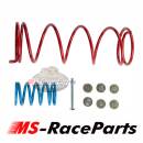 Clutch Kit CF-Moto CForce 800 XC Bj. 2019-2024 Z-Force...