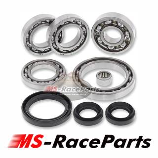 Differential Lager- & Dichtungssatz Hinterachse Can Am Traxter HD5 Outlander Renegade Diff Bearing Kit Rear Hinterachse