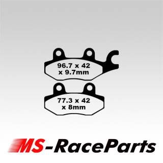 Bremsbeläge Bombardier & Can Am eine Seite der Hinterachse alle Modelle Rally 200 05-07