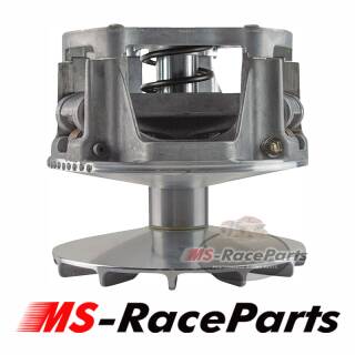 RZR 800 (alle Modelle) Bj. 2010-14