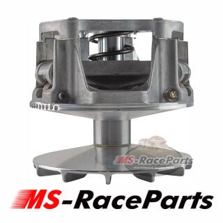 RZR 900 (alle Modelle) Bj. 2011-14